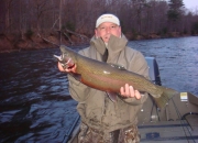 Beautiful spring steel