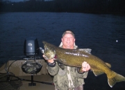 46 inch Muskegon River King Salmon