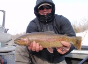 Outstanding Muskegon River Rainbow Trout