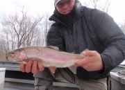 Beautiful 24inch Muskegon river rainbow trout