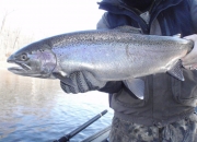 Jeff with some nice winter chrome!