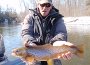 Jeff\'s 20 inch Muskegon River Brown Trout