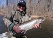Ted with another Muskegon river steelhead