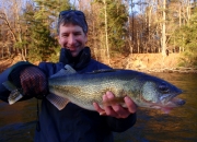 Mark with a Muskegon river walleye