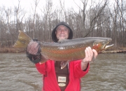 Ed with an awesome Muskegon river steelhead