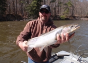 Brian with a Muskegon river steelhead