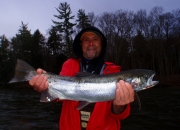Ed with a chrome spring steelhead