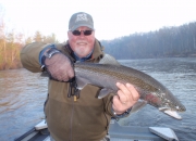 Bert with a hard fighting silver bullet