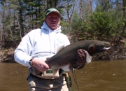 Mark With A Great 2014 Male Steelhead
