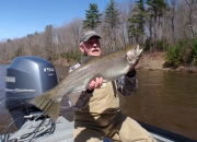 Bob With A Really Nice 2014 Spring Steelhead