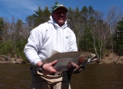 Mark\'s 2014 Spring Steelhead