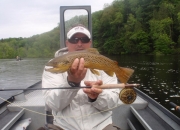 Awesome Muskegon River Brown Taken With A Dry Fly