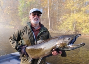 Bob\'s Awesome Muskegon River Fall Salmon 2013