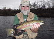 Dave Hulswit 20 inch Muskegon River Rainbow 