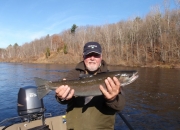 Bert with fall chrome