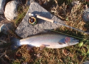 Fall Chrome