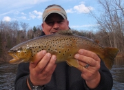 Awesome Colored Muskegon River Brown Trout