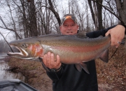 Beautiful Muskegon River Fall Steelhead