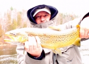 Nice Muskegon River Brown Trout
