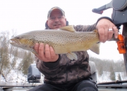 7lb 28-inch Muskegon River Brown Trout