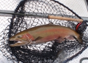 33 inch crimson red steel
