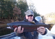 Bert with a Beast!
