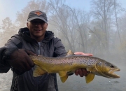 Rod-Muskegon-River-Brown-Trout-min