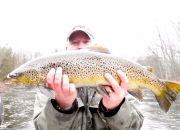 30 Inch Muskegon River Brown Trout
