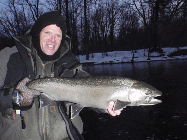 Muskegon River Steelhead