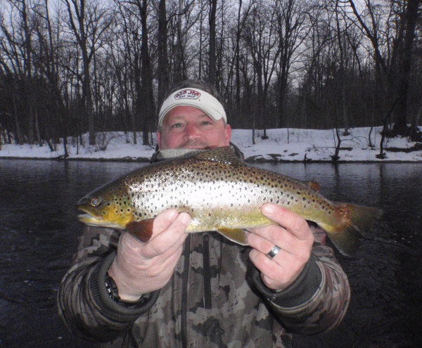 Muskegon River Brown Trout