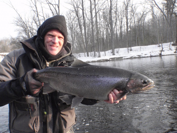 Muskegon River Steelhead