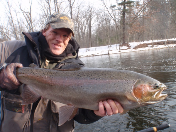 32" Muskegon River Steelhead