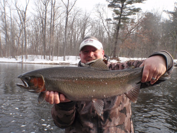 Muskegon River Steelhead
