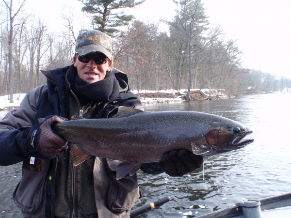 Muskegon River Steelhead