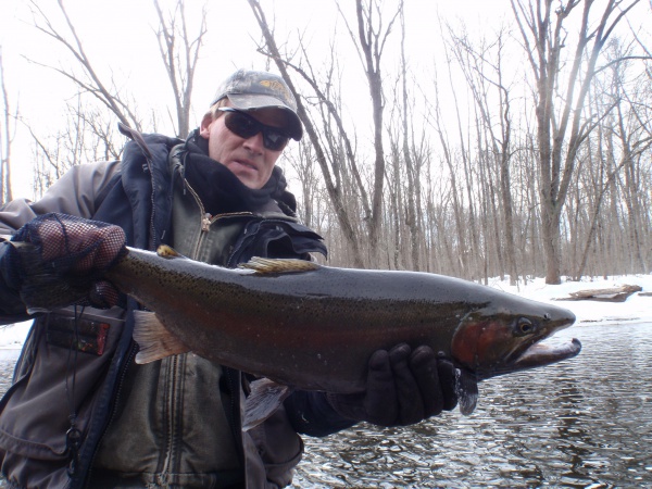 Muskegon River Steelhead