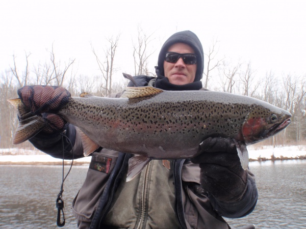 Muskegon River Steelhead