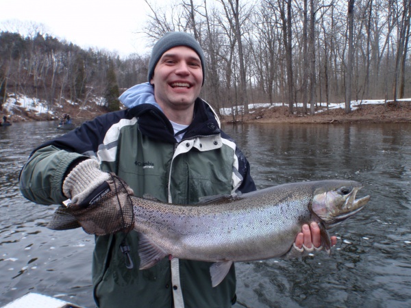 Tone's 14lb, 31" Female