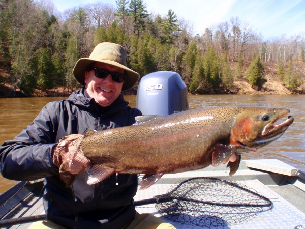 Paul's Double Stripe