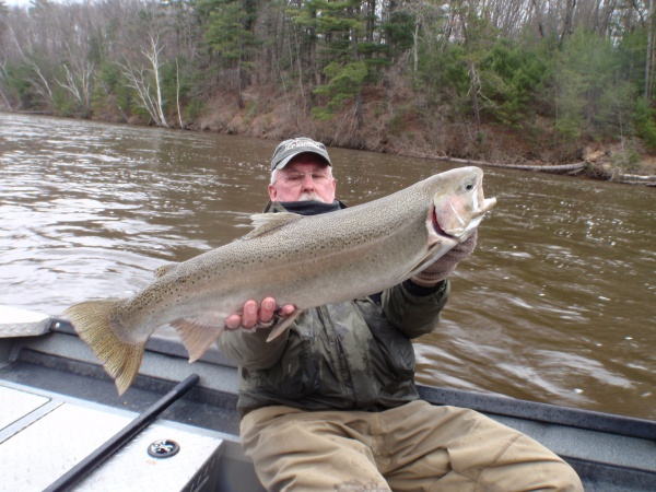 Another Great Steelhead From Bob