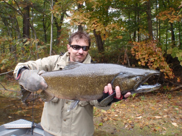2015 Muskegon River King Salmon
