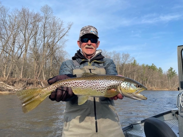 Bob 24-inch Muskegon River Brown Trout