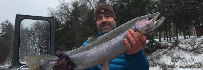 The California Connection