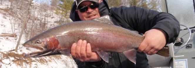 The Countdown Has Begun!