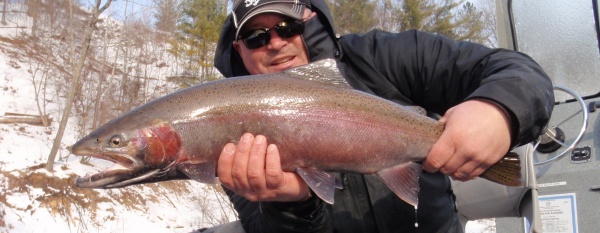 The Countdown Has Begun!