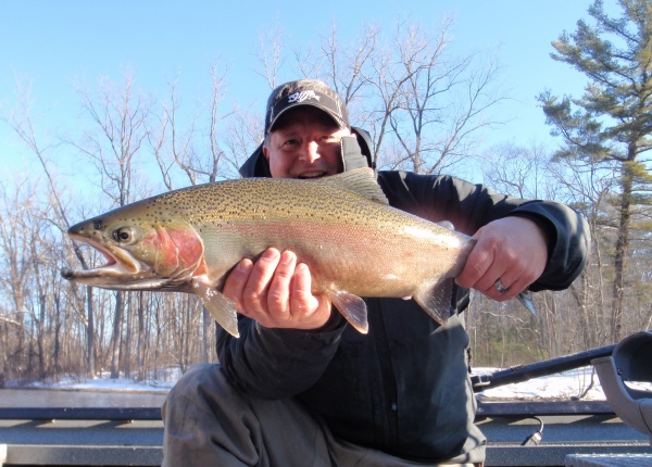 Muskegon River Steelhead