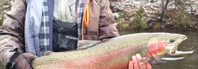 Winters Day In April