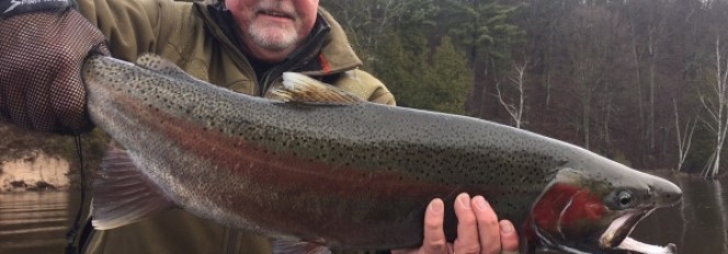 18 lbs.  33.5 Inches Of Twisted Crimson Steel!