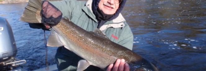 Cold Saturday Steelhead