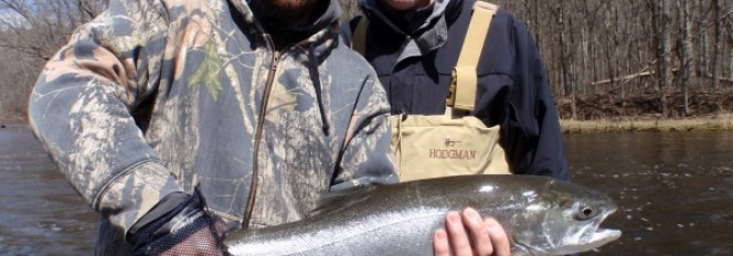 Twisted Chrome Steel At The End Of A Rainbow