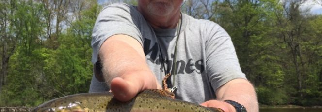 Dry Flies For Trout On The Muskegon River
